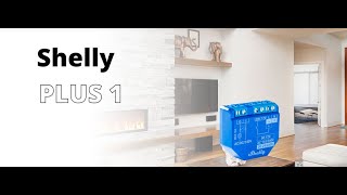 Shelly plus 1 setup  كيفية استخدام جهاز شيلي بلاص واضافته لمنزلك الذكي
