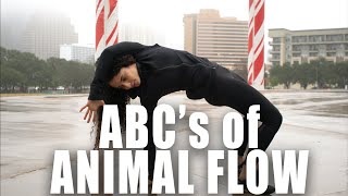 ABC’s of ANIMAL FLOW for beginners | FrancheskaFit