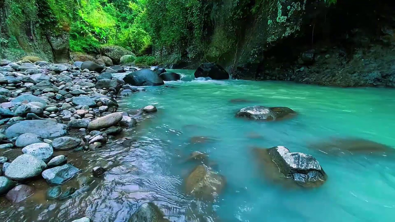 Forest River Flowing Water, Mountain Stream Audio, Sleeping