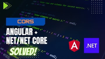 Habilitar Cors para Angular - .NET 8 2024