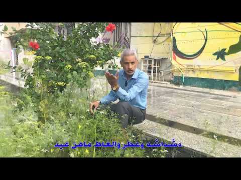 صافرة انذار للشاعر محمدحسن العرادي 