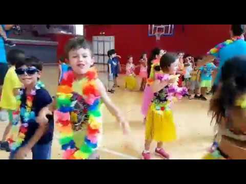 Vídeo: Com Fer Una Festa Hawaiana