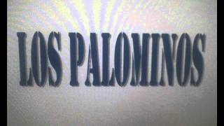 Los Palominos - Mafia Medley.wmv chords