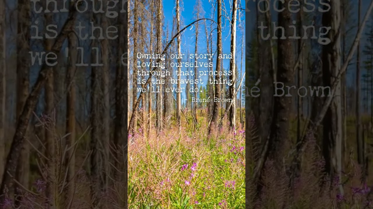 An inspiring quote by Brené Brown