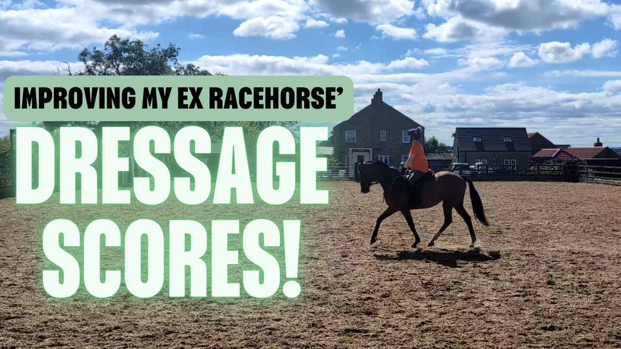Improving my exracers dressage scores Dressage Riders Online