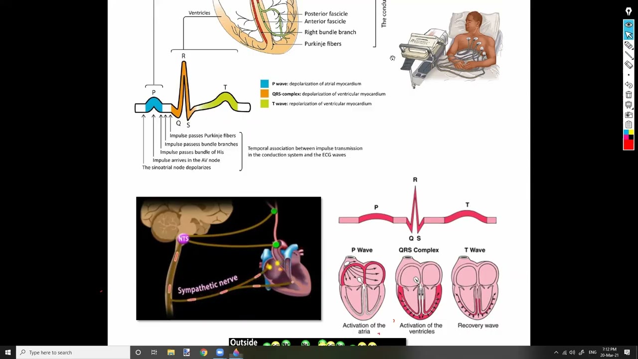 11-ECG1 شرح باطنة دكتور سويلم