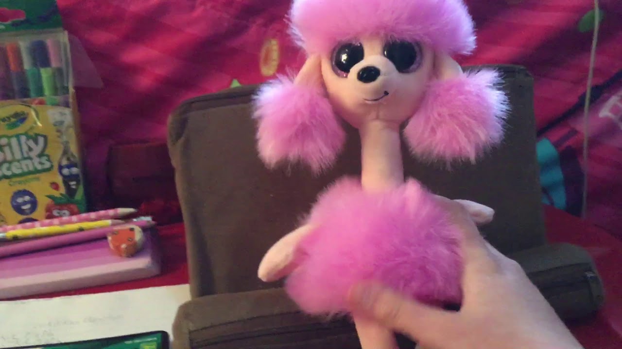 beanie boo poodle