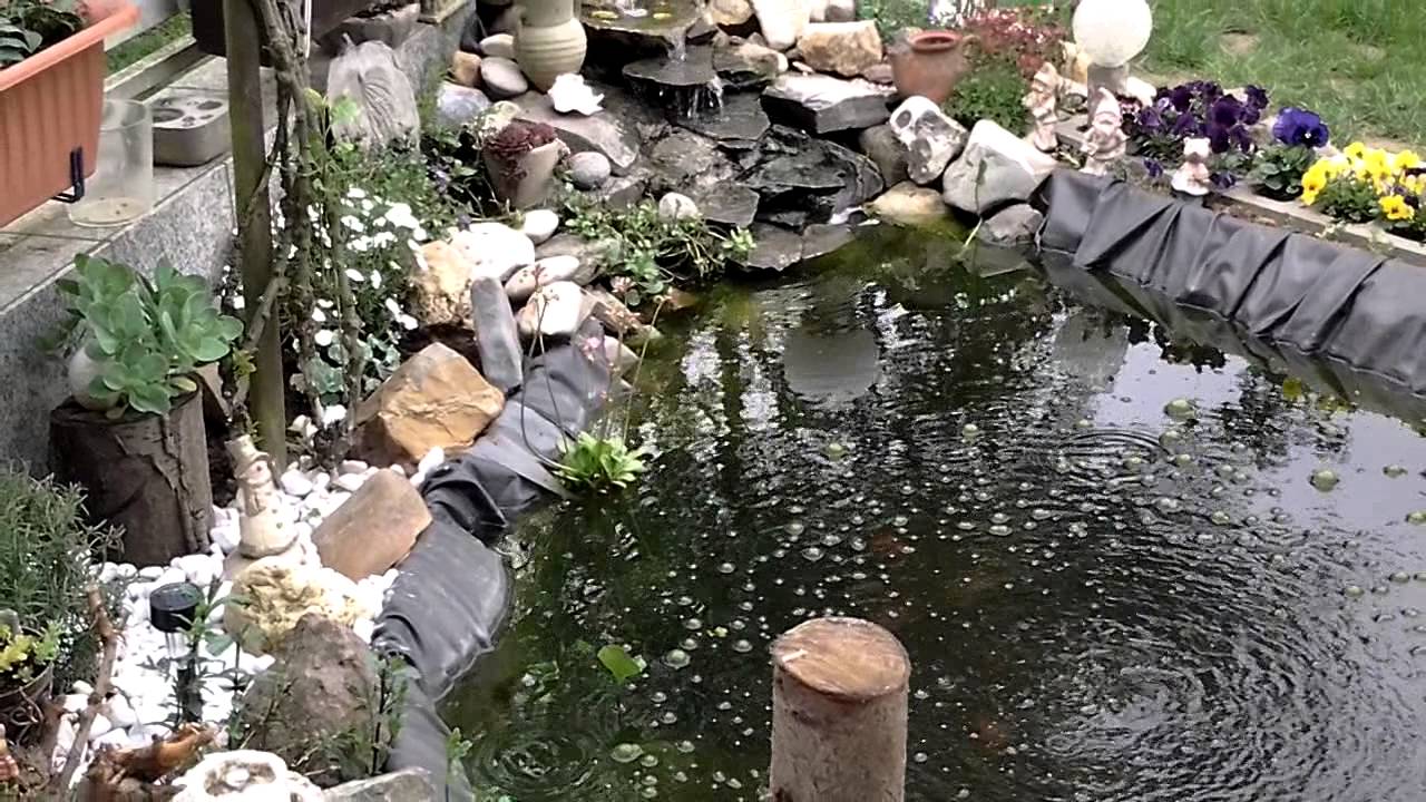 Teich Und Steingarten Youtube