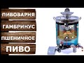 Моё первое пиво! Варю пшеничное пиво на пивоварне ПВК Гамбринус.