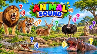 🦁 Real Animal Sounds for Kids | Wild Animal Sounds & Guessing Game | Episode 1 screenshot 5