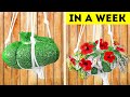 Fantastic Gardening Hacks! Simple Tips for a Thriving Garden