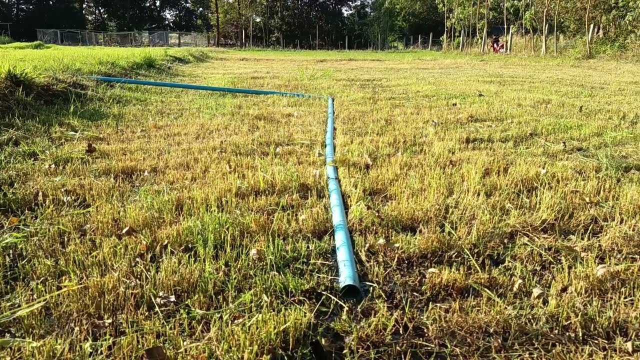 11 มกราคม 2569 แปลงหญ้านาหนองพุก อ.หนองพอก จ.ร้อยเอ็ด 