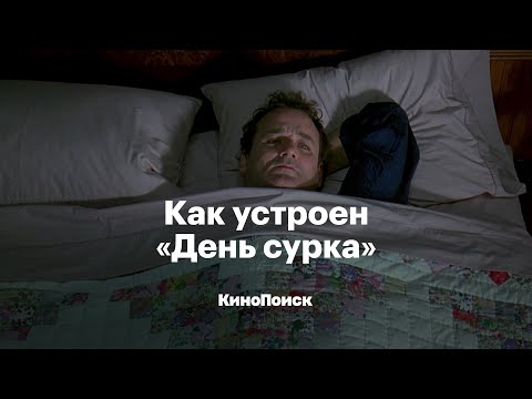 Как устроен «День сурка»