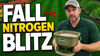 Recover Your Lawn With a Fall Nitrogen Blitz (3 EASY Steps)