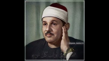 الشيخ محمود علي البنا | سورة الانعام
