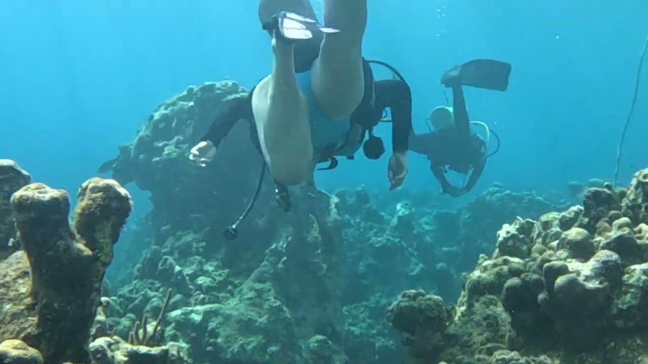 Gina and the Coral - Eden Rock - Cayman Islands