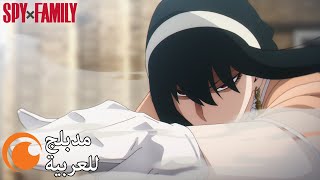 يور بمواجهة بقرة | SPY x FAMILY (مدبلج للعربية)