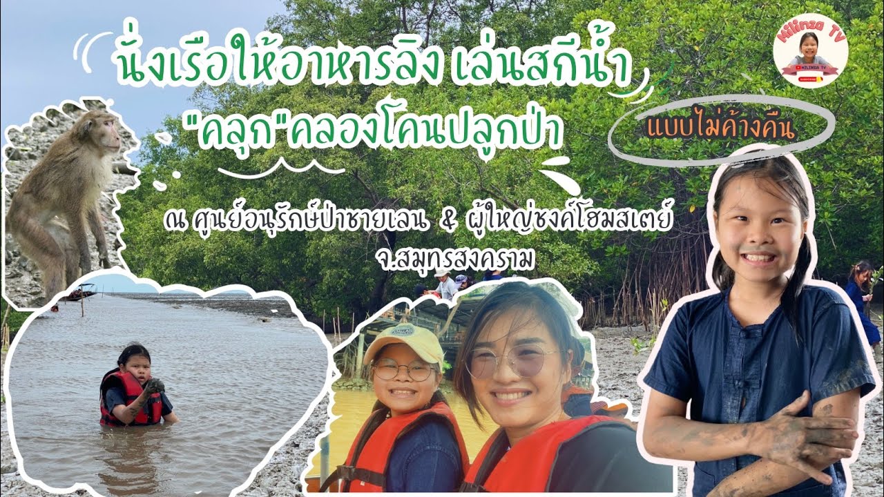 นั่งเรือให้อาหารลิง เล่นสกีน้ำ เก็บหอยแครง ณ ศูนย์อนุรักษ์ป่าชายเลนคลองโคน@ผู้ใหญ่ชงโฮมสเตย์
