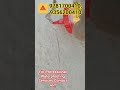 Sika Crack Seal | Crack Repair - Professional #Waterproofing Service #shorts #shortvideo #viral #yt