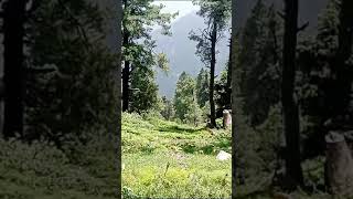 Peer chonasi Azad Jamu kashmir short vlog episode