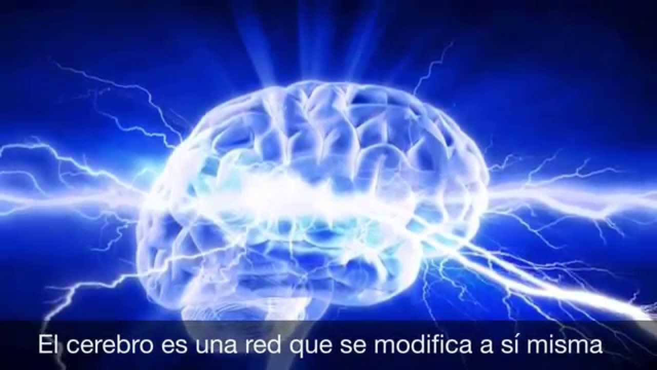 Aprendizaje y memoria - Plasticidad cerebral - YouTube