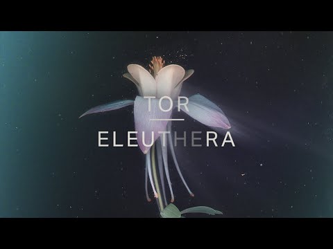 Tor - Eleuthera mp3 ke stažení