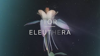 Video thumbnail of "Tor - Eleuthera (Official Audio)"