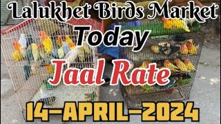 Today Lalukhet Birds Market | Jaal Rate latest update | 14-April-2024 | #lalukhetbirdsmarket
