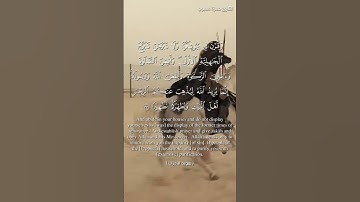 سورة الأحزا.ب و،،كا.نك تسمعها لأ،،و..ل مرة💕؛🏵️🌷،،💗،.💘💚؛🌺بصوت الشيخ حمزة مد،بو.ح💞💮،🌼.🌹؛؛💓💟؛؛🧡
