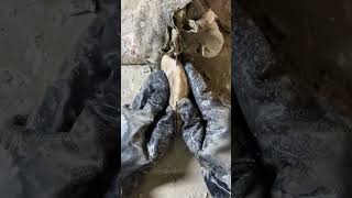 新敞口，新敞口，有认识的吗？#翡翠程大胆 #以石会友 #石来运转 #原石毛料 #珠宝玉石
