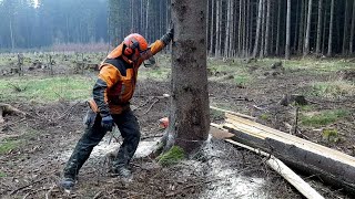 Garden and Forest VS The Best Chainsaw TOP VIDEO!