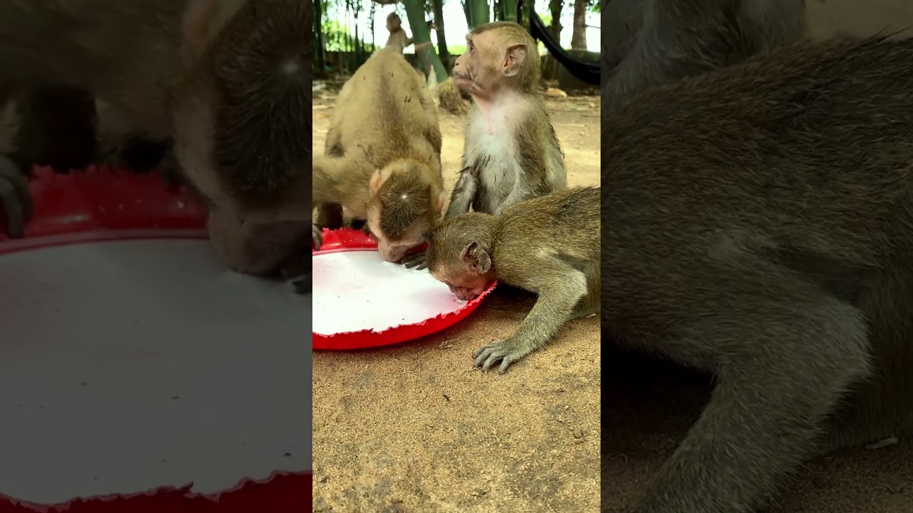 Oh wow mild , so good 