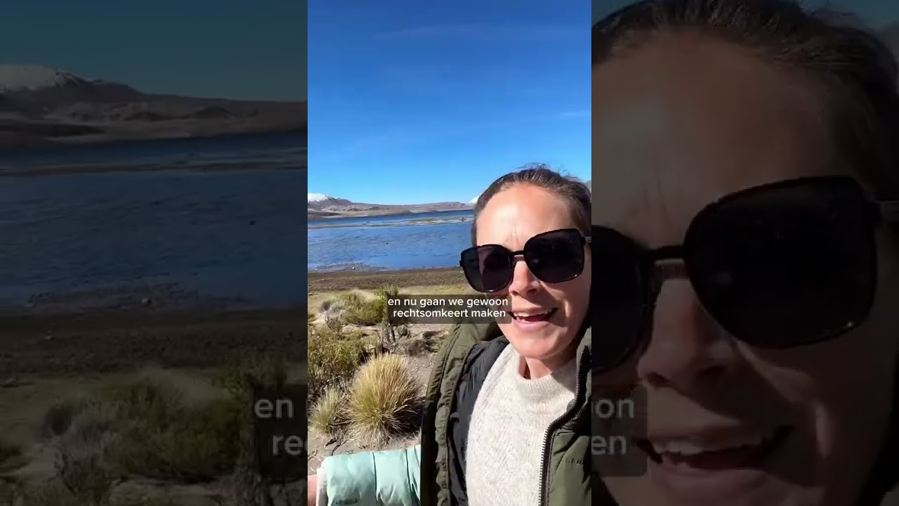 Helemaal in het noorden van Chili vind je Parque Lauca.