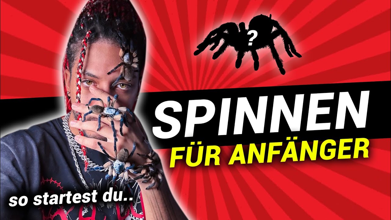 DIE PERFEKTEN SPINNEN ZUM EINSTEIGEN / EINFACH 🕷🔥