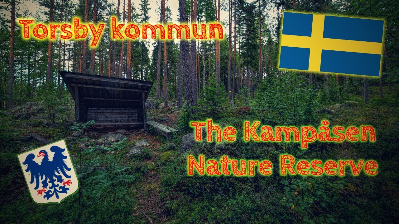 Dunkler & Magischer Wald bei Regen | Kampåsen naturreservat | Schweden | Värmland | Torsby kommun
