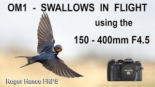 OM1 -  Swallows in Flight using the 150- 400mm F4.5