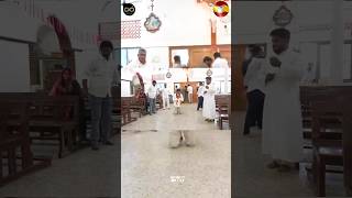 கிறிஸ்தவ தேவாலயத்தில் முட்டிக்கால் போட்டா விஜய்🔥| Thalapathy Vijay | TVK | Aadhav Arjuna | Whistle