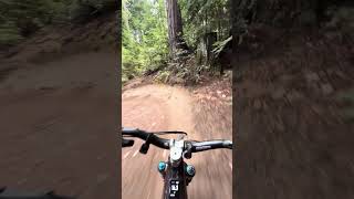 Flow PR run 1-3 & 4-6