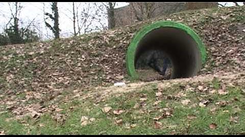 3E - the countdown - Frank&Edwin.mov