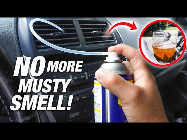 STOP Musty Moldy Bad Smells Coming From Your Car's AC And Heater ...