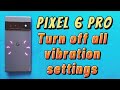 how to turn off all vibration settings for Google Pixel 6 Pro