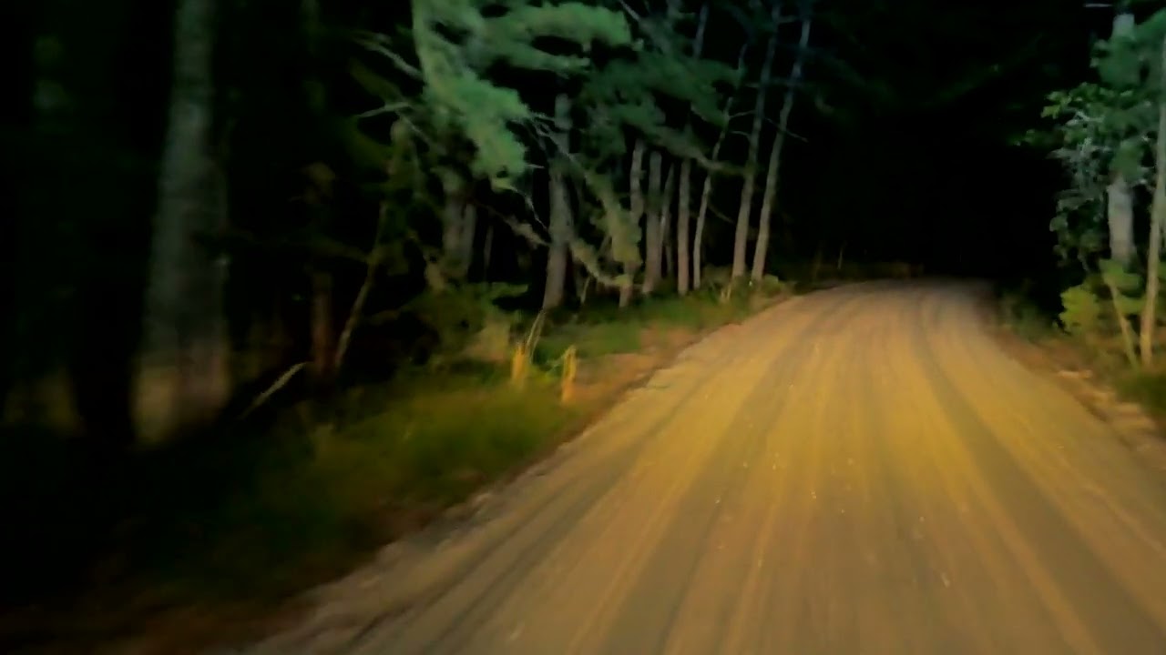 Whispers in the Shadows: Unexplained Phenomena in Japan's Forgotten Villages