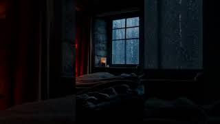 ⛈️ Rain pattering while you sleep peacefully #rainsounds #sleepaid #relaxingrain