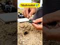 "Tiny Insect Camera Goes Inside the Burrow 😱 | Hidden Underground World"