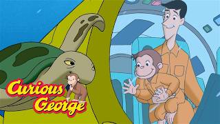 submarine search full episodes curious george