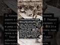 ИСТОРИИ, КОТОРЫЕ УДИВЛЯЮТ! #история #ссср #факты #техника #герои #ракеты #прошлое