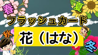 【小学校受験対策】季節の花 フラッシュカード 6