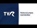 PUNCTUL CRITIC - ediţia din 29 ianuarie (@TVR1)