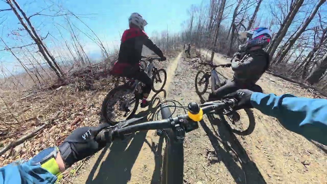 Tompa Born To Be (Orbea) Wild