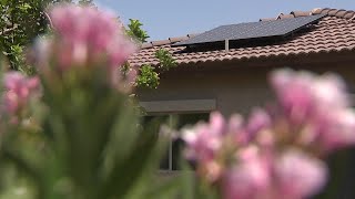 'The red flag came up': Valley man says solar headache caused by aged roof